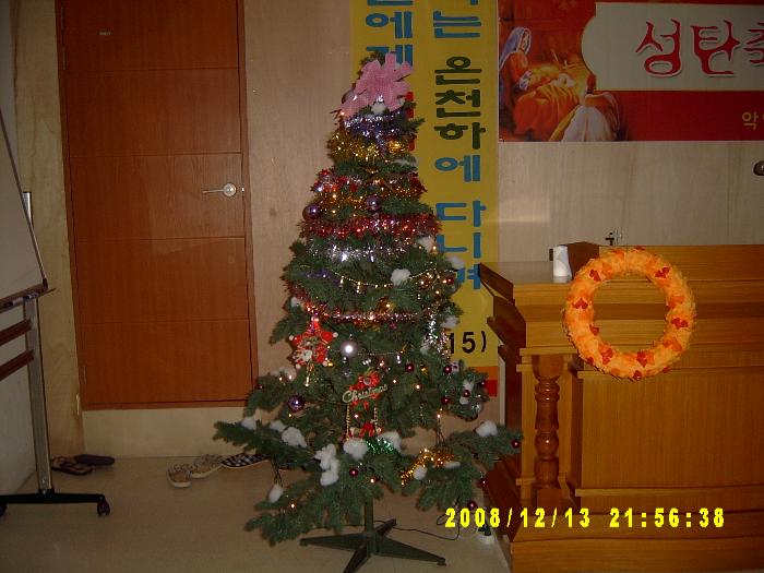 Christmas trees001.JPG